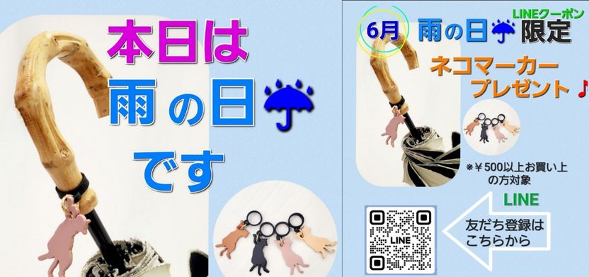 お得なキャンペーン開催中